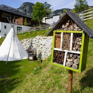 Insektenhotel (gebaut von unseren FÖJler*innen 20/21); Foto: Jubiarchiv